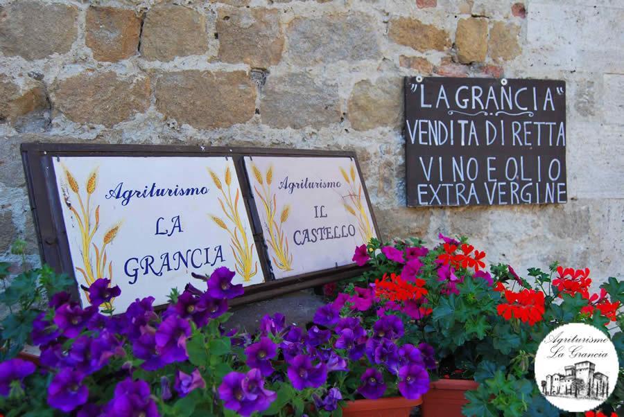 Agriturismo Castello La Grancia Di Spedaletto Пиенца Экстерьер фото